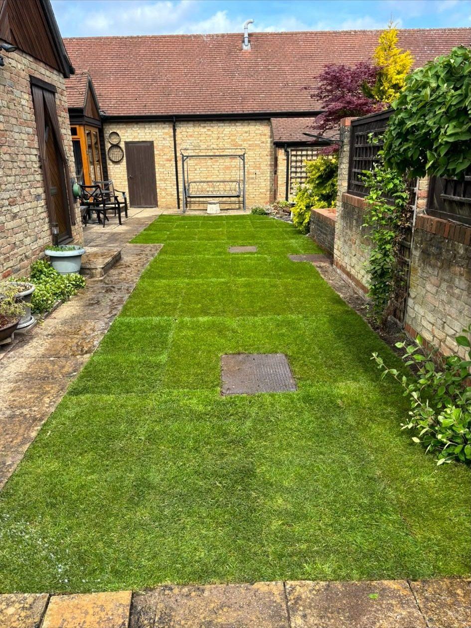New lawn laid around stepping stones