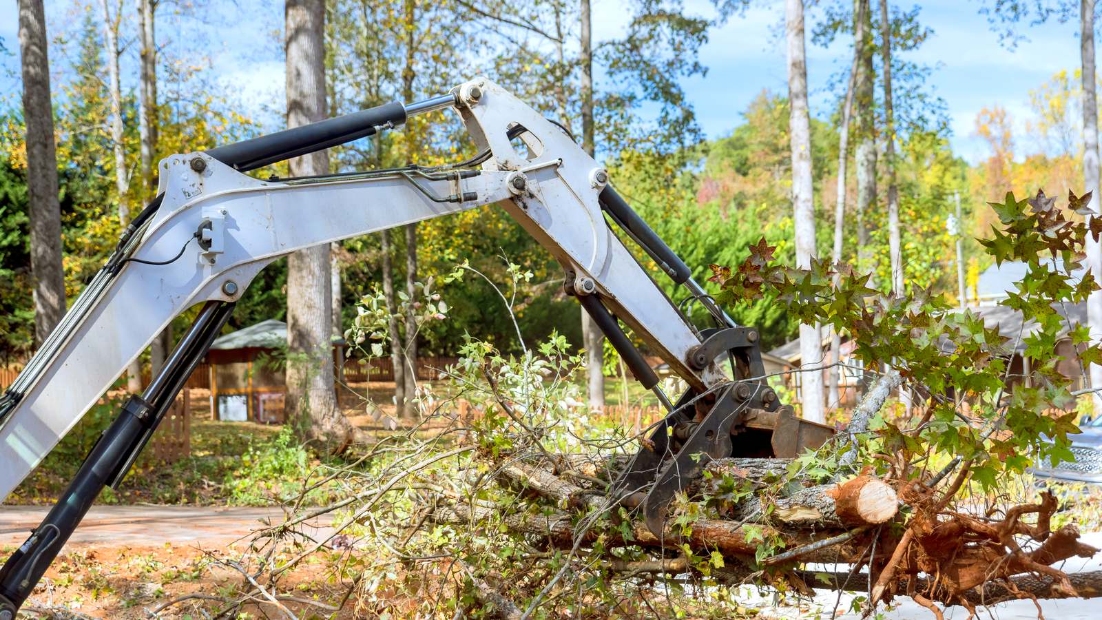 Site Clearance being carried out on a London property
