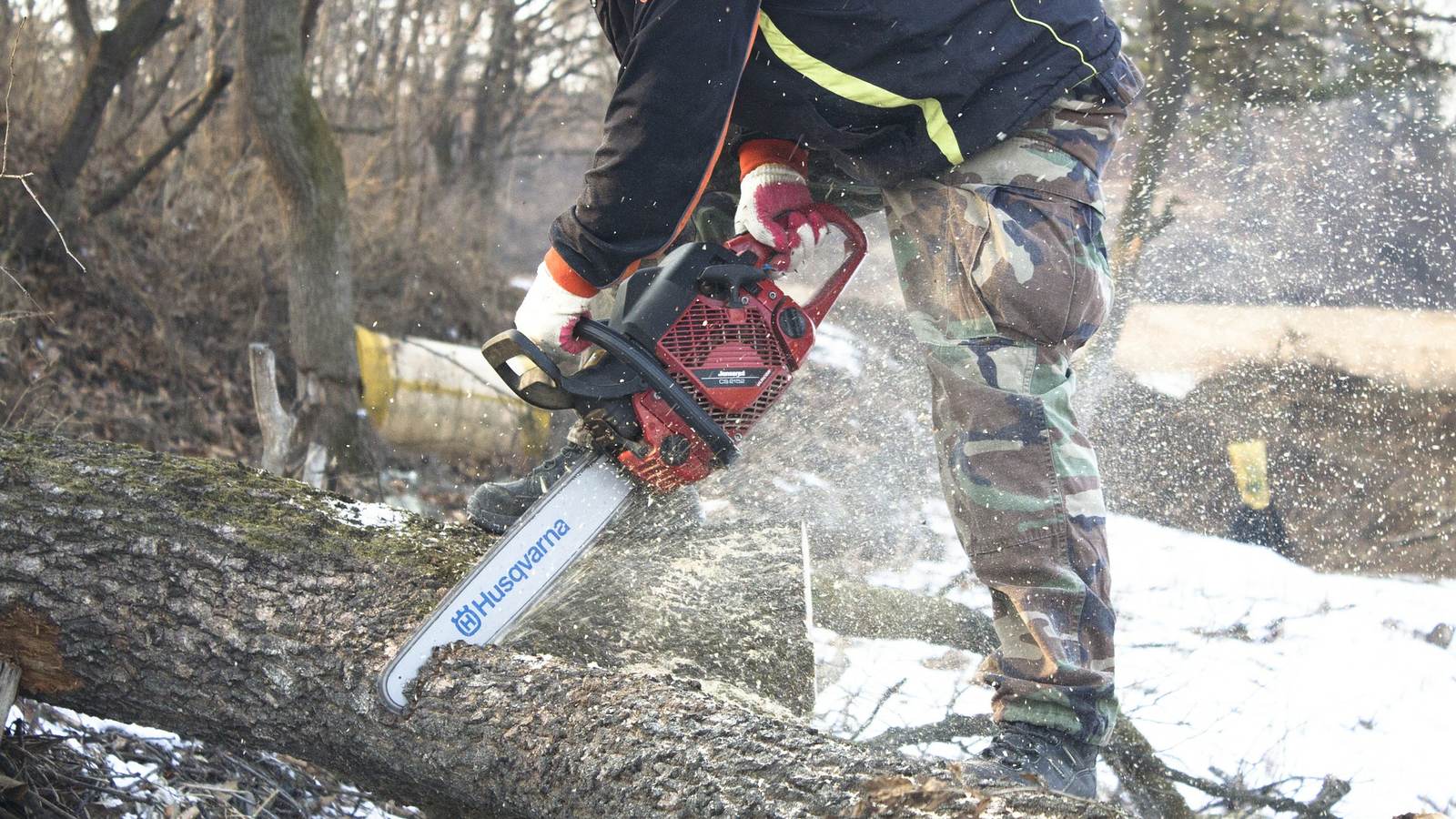 Tree Felling being carried out on a London property