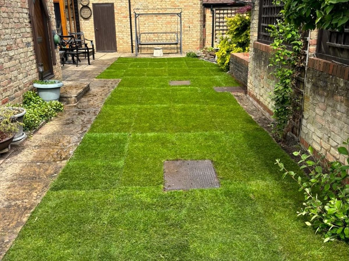 A new lawn laid around stepping stones