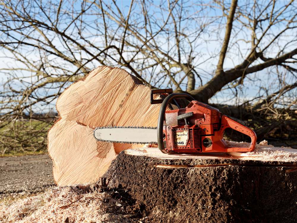 Wood Mulching carried out by B & V