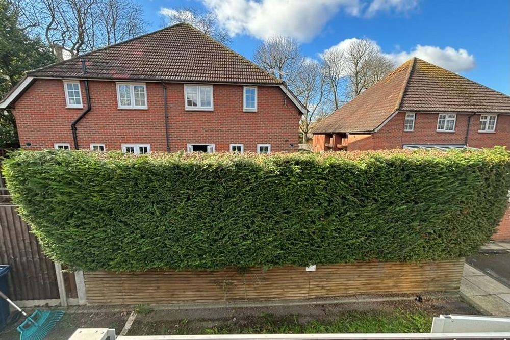 Hedge Cutting carried out by B & V